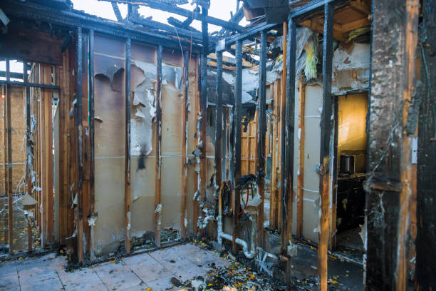 Professional Fire Damage Cleanup technician working in The Colony, TX